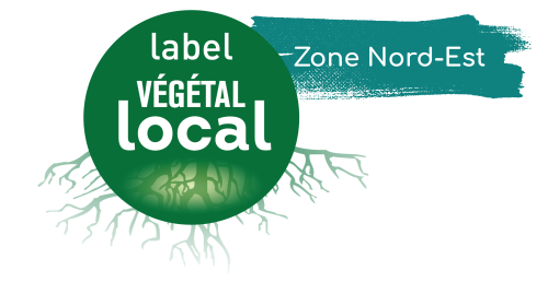 Voir les espèces marquées Vegetal Local Nord Est